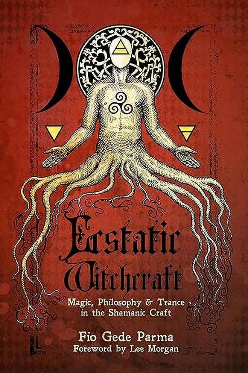 Ecstatic Witchcraft : Magic, Philosophy, & Trance in the Shamanic Craft (Paperback)